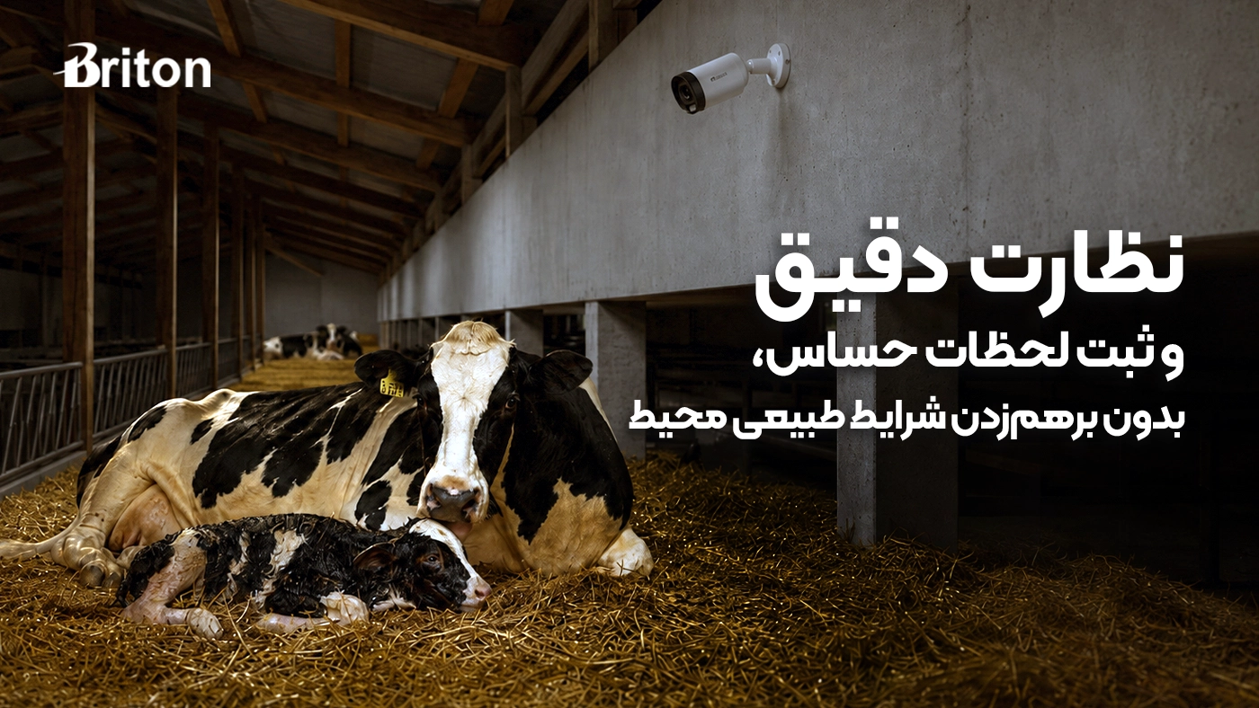 راهنمای انتخاب دوربین مداربسته مناسب برای دامداری
